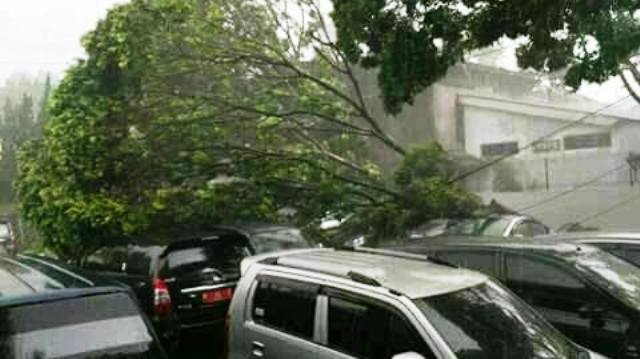 Pohon roboh menimpa mobil setelah didera angin kencang di kawasan Blotongan, Salatiga, Jateng, Kamis (8/11/2016) (Facebook.com-Asihbudi Lestari)