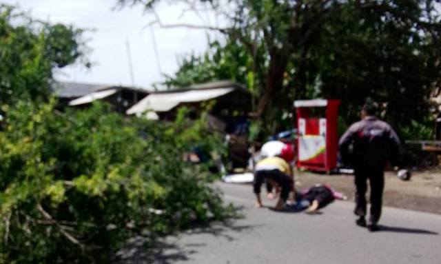 Pohon tumbang di tepi jalur jalan Semarang-Kudus membuat warga terluka, Senin (19/12/2016). (Facebook.com-Jumain Alfaqir)