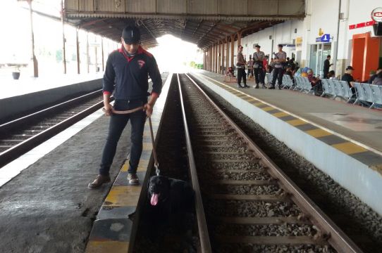 Petugas membawa seekor anjing pelacak untuk mendeteksi bahan berbahaya di Stasiun Madiun, Jumat (23/12/2016). (Abdul Jalil/JIBI/Madiunpos.com)