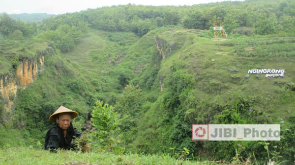 Seorang warga sedang mencari rumput di sekitar Lembah Ngringrong, atau Lembah Karst Mulo di Desa Mulo, Kecamatan Wonosari, Gunungkidul. Selasa (21/2/2017) (Irwan A. Syambudi/JIBI/Harian Jogja)