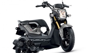 All New Zoomer-X varna Silver (hondaph.com)