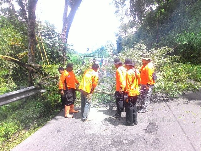 Relawan tanggap bencana Kecamatan Tawangmangu, Karanganyar memangkas dahan dan ranting pohon di atas Jl. Karangpandan-Tawangmangu, di Plumbon, Tawangmangu, Minggu (19/3/2017). (JIBI/Solopos/Istimewa)