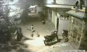 Bocah pemberani menghalau empat anjing yang mengepungnya. (Istimewa/Twitter)