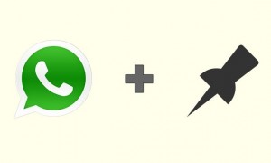 Pinned Chat Whatsapp (The Android Soul)