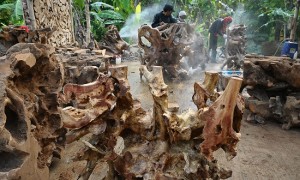 Perajin menyelesaikan pembuatan kerajinan furnitur dari akar pohon jati di Desa B ulu, Rembang, Jateng, Rabu (10/5/2017). (JIBI/Solopos/Antara/Yusuf Nugroho)