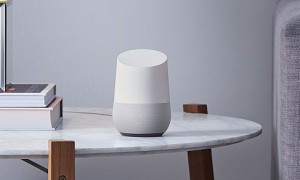 Google Home (The Verge)