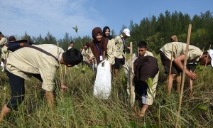Sejumlah pelajar asal Jateng menanam bakau jenis Rhizopora apicilata saat mengikuti Siswa Mengenal Nusantara 2017 di Taman Wisata Alam Pantai Panjang, Bengkulu, Jumat (28/7/2017). (JIBI/Solopos/Antara/Akbar Nugroho Gumay)