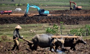 Sementara petani membajak sawah dengan sapi, proyek jalan tol di Susukan, Kabupaten Semarang, Jateng digarap alat berat, Senin (31/7/2017). (JIBI/Solopos/Antara/Aditya Pradana Putra)