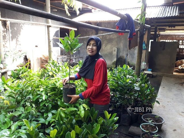 Kades Tawangsari, Teras, Boyolali, Yayuk Tutik Supriyanti, peraih Kalpataru 2017. (Istimewa)