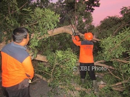 Dua anggota Satgas BPBD Sragen menggergaji batang pohon tumbang di Jl. R.A. Kartini, Dukuh Dedekan, Desa Pelemgadung, Karangmalang, Sragen, Kamis (3/8/2017) sore. (Istimewa/BPBD Sragen)