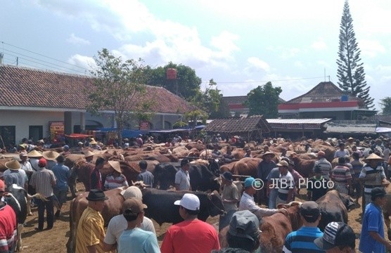 Suasana Pasar Hewan Jatinom, Klaten, Rabu (9/8/2017). (Cahyadi Kurniawan/JIBI/Solopos)