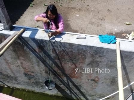 Ani, 25, warga Desa Tlogowatu, Kecamatan Kemalang, Klaten, mengambil air di bak penampungan belakang rumahnya, Jumat (11/8/2017). (Taufiq Sidik Prakoso/JIBI/Solopos)