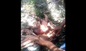 Bayi dengan ari-ari membusuk yang ditemukan di lubang spetic tank (Facebook)