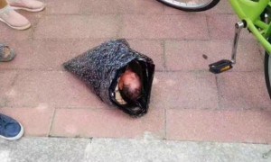 Bayi yang dipaketkan via pos (Shanghaiist.com)