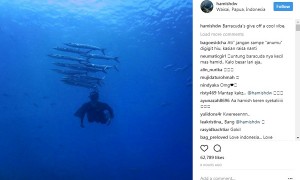 Hamish Daud menyelam di bawah ikan barakuda (Instagram @hamishdw)