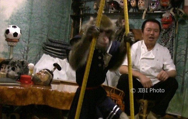 Seekor monyet dipekerjakan di Kawabukiya Tavern. (Istimewa)