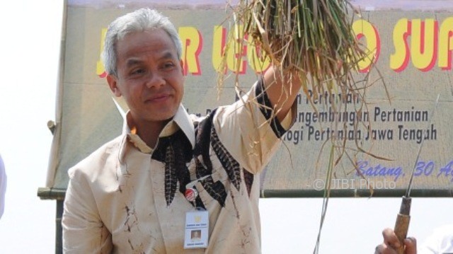 Gubernur Jawa Tengah Ganjar Pranowo mengikuti panen raya padi di Kasepuhan, Kabupaten Batang, Jateng, Rabu (30/8/2017).(JIBI/Solopos/Antara/Harviyan Perdana Putra)