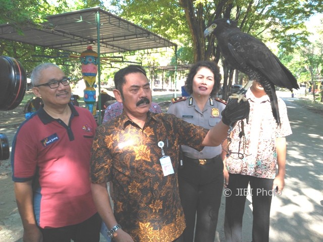 Wali Kota Solo, F.X. Hadi Rudyatmo, memegang burung elang bido yang menjadi salah satu koleksi di Taman Satwa Taru Jurug (TSTJ) Solo, Rabu (2/8/2017). (Ivan Andimuhtarom/JIBI/Solopos)