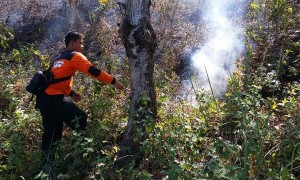 Petugas BPBD Ponorogo memadamkan api di hutan Perhutani Desa Krebet, Kecamatan Jambon, Senin (7/8/2017). (Istimewa/BPBD Ponorogo)
