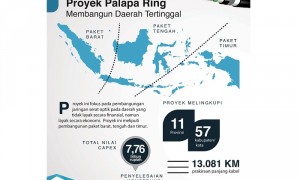 Ilustrasi proyek Palapa Ring (kominfo.go.id)