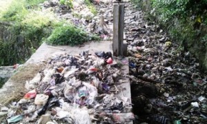 Sampah di Sungai Kedawung di Kelurahan Salatiga, Kecamatan Sidorejo, Kota Salatiga, Jateng. (Facebook.com-Sugih Arto)