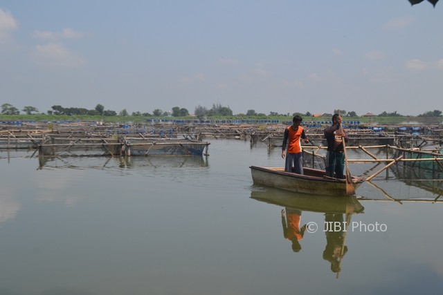 Petani ikan mendayung perahu melewati keramba ikan nila di Waduk Mulur, Bendosari, Sukoharjo, Senin (7/8/2017). (Bony Eko Wicaksono/JIBI/Solopos)