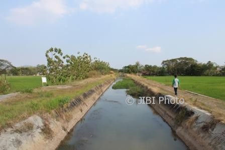 Aliran air Saluran Colo Barat yang menjadi andalan petani di wilayah Karangdowo dan Cawas, Kamis (14/9/2017). (Taufiq Sidik Prakoso/JIBI/Solopos)