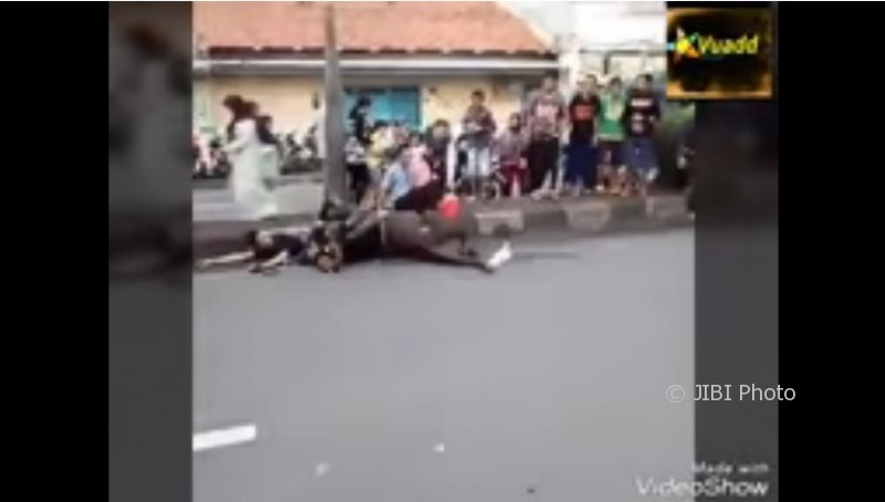 Kuda terjungkal setelah tabrakan dengan kuda lain. (Istimewa/Youtube)