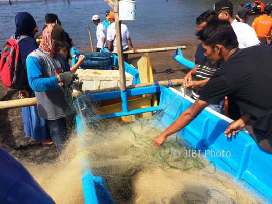 Sejumlah nelayan sedang mengambil ikan yang terperangkap jaring. Aktivitas ini merupakan kegiatan rutin yang dilakukan oleh puluhan nelayan yang ada di Pantai Baron, Desa Kemadang, Tanjungsari. Foto diambil beberapa waktu lalu. (David Kurniawan/JIBI/Harian Jogja)