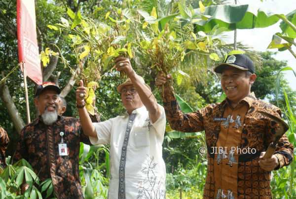 Wakil Bupati Gunungkidul, Immawan Wahyudi (kanan), Kepala Dinas Pertanian dan Pangan, Gunungkidul, Bambang Wisnu Broto (tengah), dan Kepala Balai Pengkajian Teknologi Pertanian (BPTP) DIY, Joko Pramono (kanan) saat acara panen kedelai di Nglorok, Kedungpoh, Nglipar, Jumat (5/1/2018). (Herlambang Jati Kusumo/JIBI/Harian Jogja)