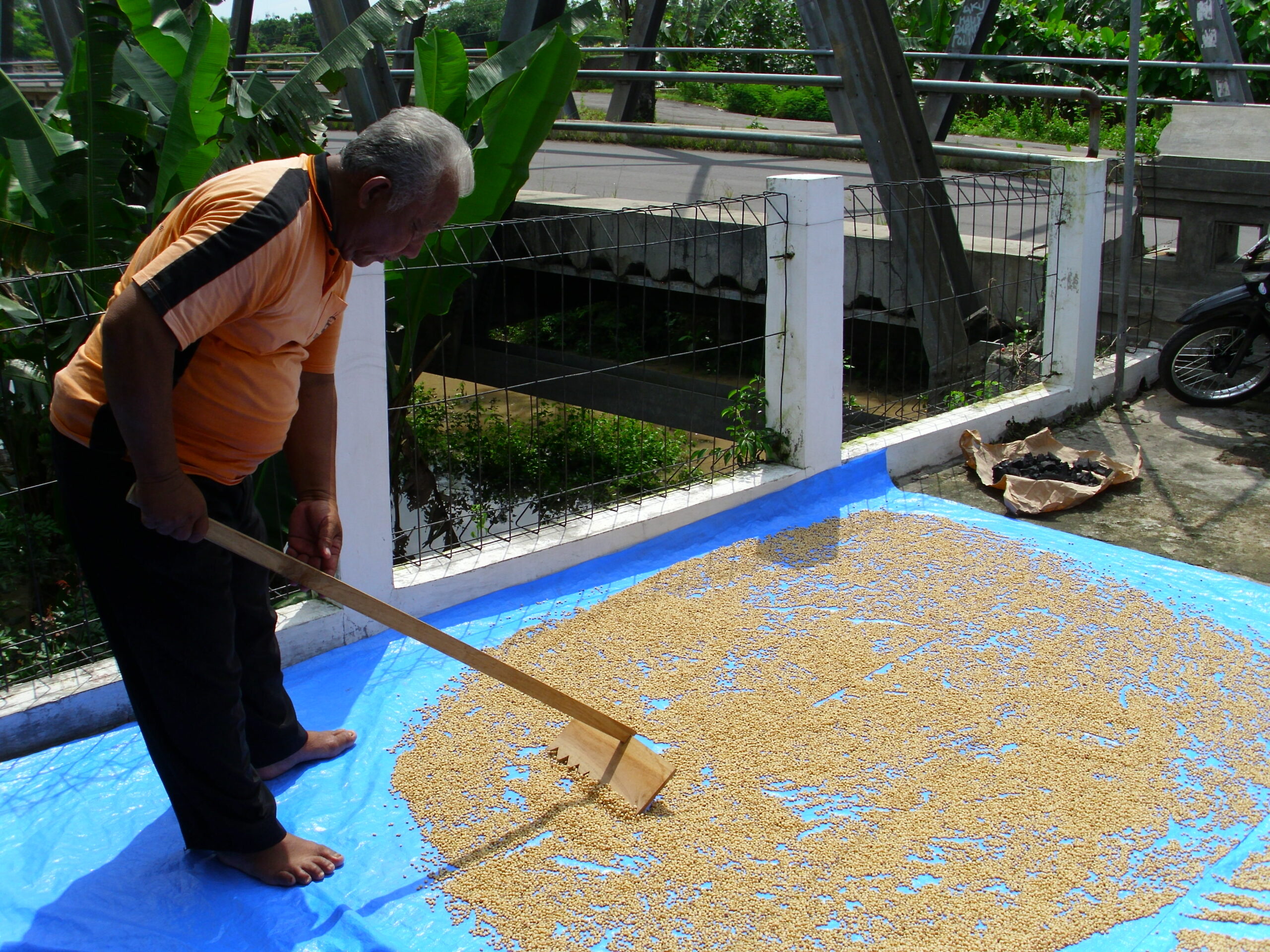 Kaleyo, susu nabati berbahan kedelai, kacang hijau dan bekatul