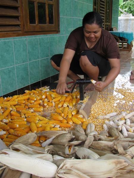 Berita Harga Jagung Terbaru Berita Harga Jagung Terkini Hari Ini Info Harga Jagung Solopos Berita Harga Jagung Terbaru Berita Harga Jagung Terkini Hari Ini Info Harga Jagung Solopos