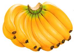 Tinggalkan Jarak, Petani Bantul Pilih Tanam Pisang