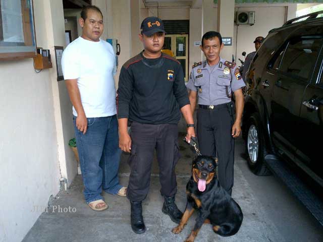 Polresta Solo Dapat Hibah Anjing Dari Warga Solopos Com