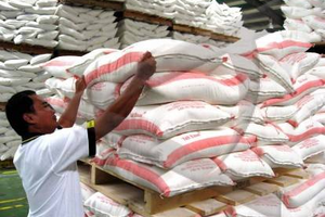 Harga Tepung Terigu di Wonogiri Tembus Rp265.000 per Sak, Penyebabnya?