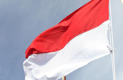 Hari Pahlawan, Sultan Minta Kibarkan Bendera