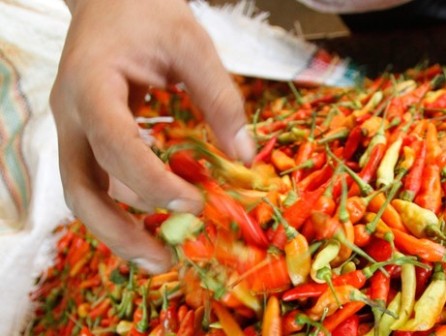 Harga Cabai Rawit Di Madiun Rp120.000/Kg Kalahkan Daging Sapi