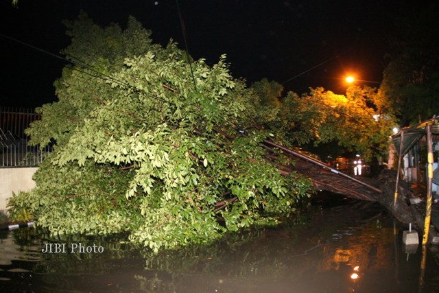ANGIN KENCANG JOGJA : Pohon-Pohon Tumbang di Jogja, 1 Tewas