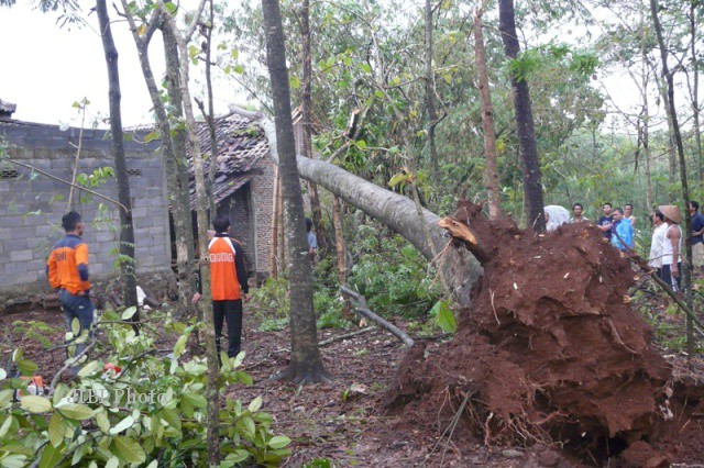 BENCANA KARANGANYAR : Hujan Deras, Tiga Rumah Rusak, Pohon-Pohon Bertumbangan