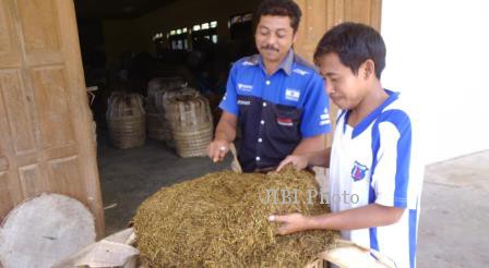PERTANIAN JATENG : APTI Desak Industri Serap Panen Tembakau