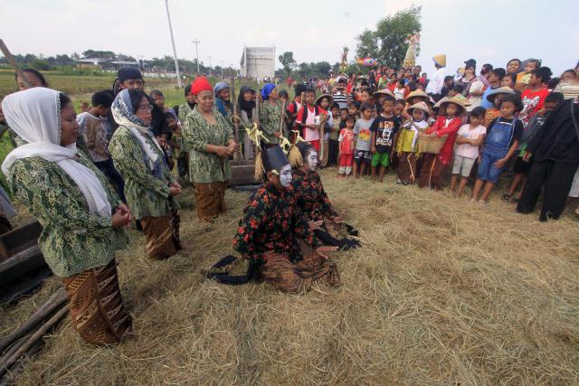 Panen Raya: Perayaan Kecil Warga Desa