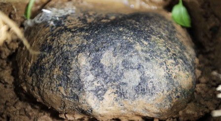 Warga Korea Selatan Berburu Meteorit Rp936 Juta