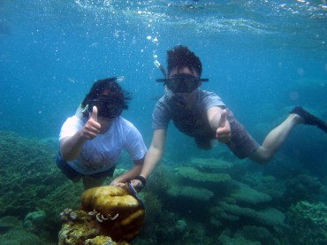 Underwater di taman laut perairan Kepualauan Karimunjawa, Jepara, Jawa Tengah (Holy Kartika N. S/JIBI/Harian Jogja)