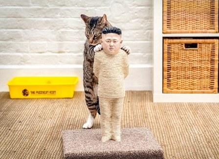 KISAH UNIK : Kini Tersedia, Cakaran Kucing Berwajah Kim Jong Un…