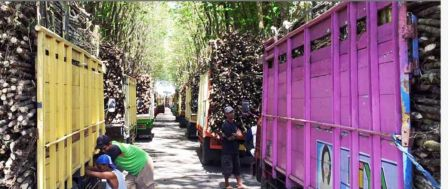 INDUSTRI GULA : PTPN X Rampungkan SNI 11 Pabrik Gula, Selanjutnya Layani Petani