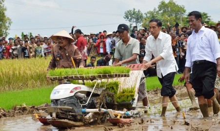 PERTANIAN JATIM : Harga Gabah Belum Tertopang Kenaikan HPP