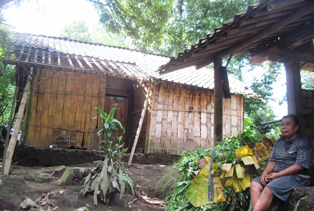 KISAH TRAGIS : Rumah Nyaris Ambruk, Nenek di Klaten Ini Jual Anjingnya
