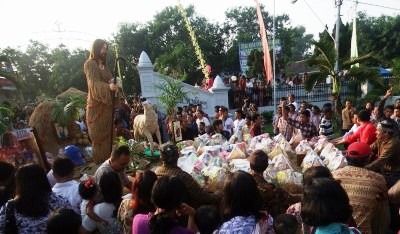 FOTO HEWAN LANGKA : Tukik Mungil Dilepaskan di Pantai Serang