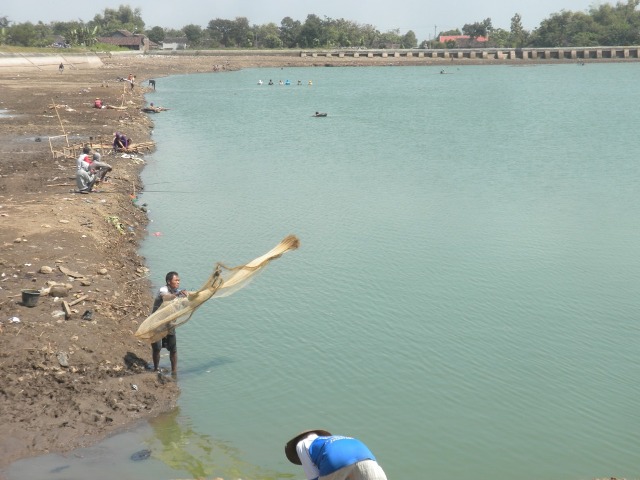 PERTANIAN SRAGEN : Air Waduk Brambang Susut, Pengairan Sawah Terganggu