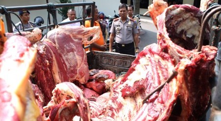 FOTO DAGING GELONGGONGAN : Ada Daging Gelonggongan di Tulungagung